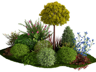 现代灌木花草花卉景观园艺小品