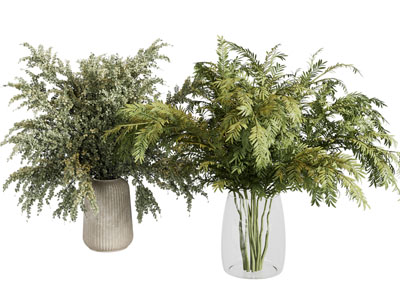 绿植花瓶 水养植物