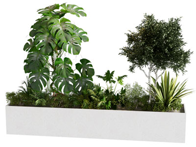 植物堆 景观绿植