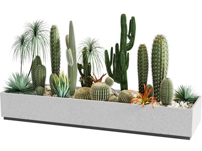 植物堆