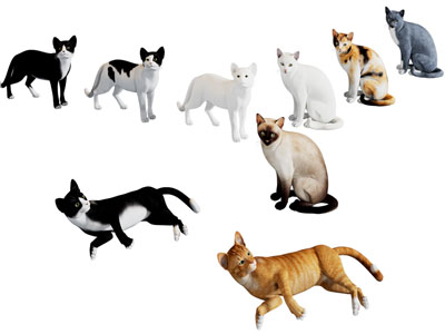 现代宠物猫 爬行动物