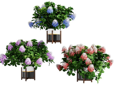 现代鲜花盆栽