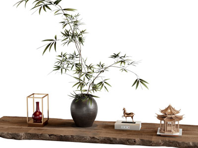 新中式盆栽 竹子 植物