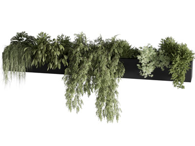现代悬挂植物盆栽 绿植墙饰 垂吊植物