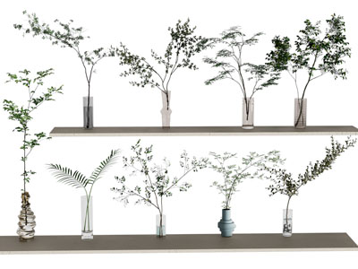 现代水生植物 现代花瓶花艺 绿植