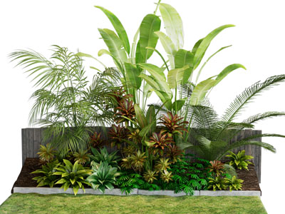 现代植物堆 室外绿植 土培绿植