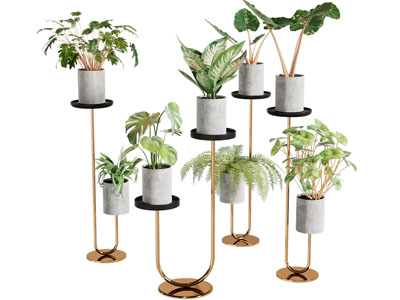 绿植盆栽组合