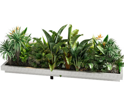 植物堆