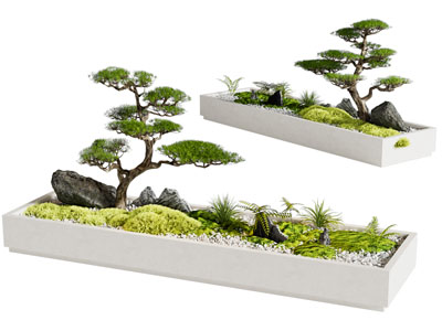 现代景观造景 植物堆