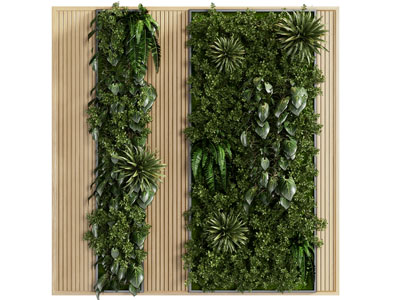现代植物墙