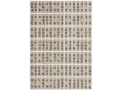 中药名药箱