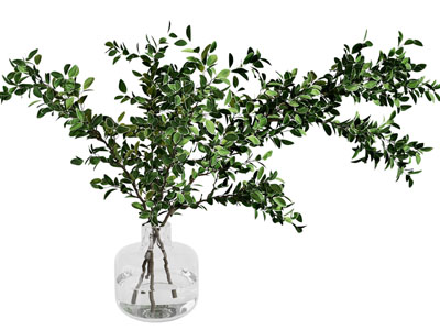 现代植物花瓶花艺