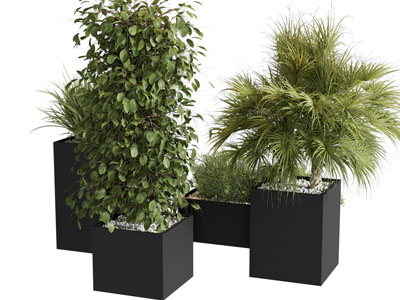 植物花箱