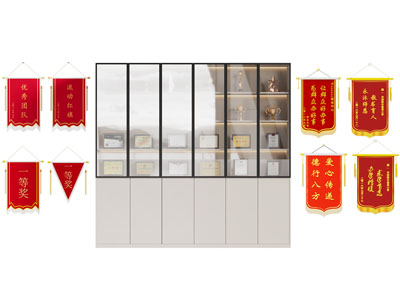 现代奖杯奖牌装饰柜 锦旗
