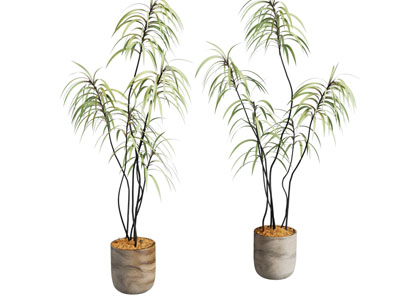 中古绿植摆件