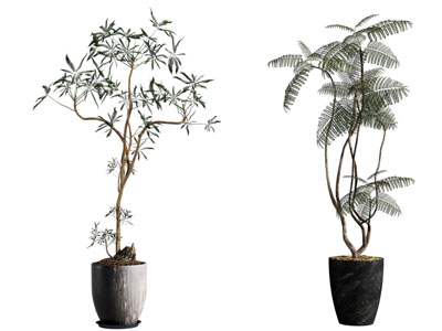 中古绿植摆件