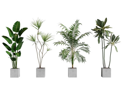 现代绿植摆件
