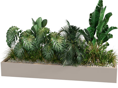 花坛 植物堆