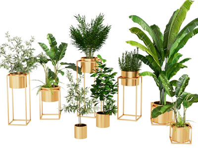 北欧绿植盆栽