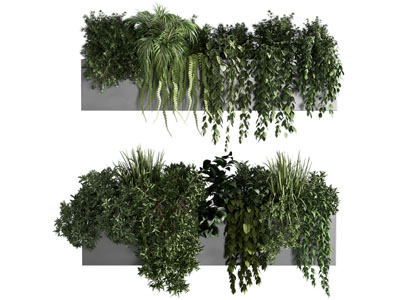 盆栽 花池 植物堆 花箱