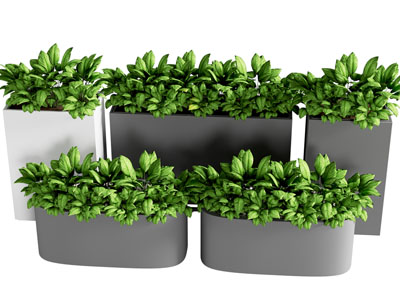 现代绿植花钵