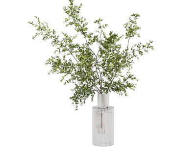 水培绿植 水生植物