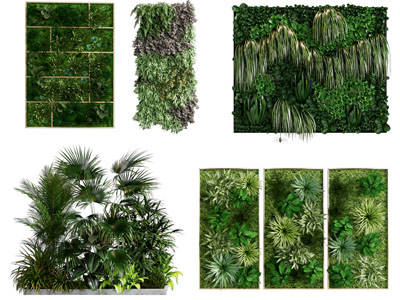 植物墙