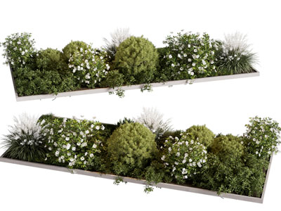 现代户外绿植灌木 花池