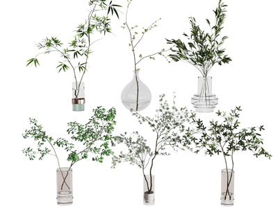 水生植物
