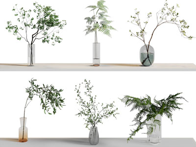 水生植物