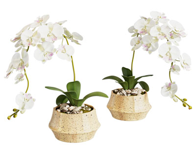 现代花瓶 花艺 餐桌摆件 蝴蝶兰