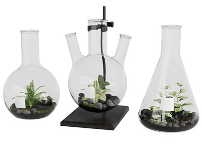 现代玻璃烧瓶创意盆景盆栽植物摆件