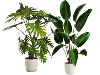 现代花盆盆景盆栽植物
