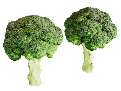 现代西蓝花 蔬菜 水果食物