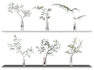 水生植物