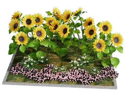 现代向日葵 花卉景观园艺小品