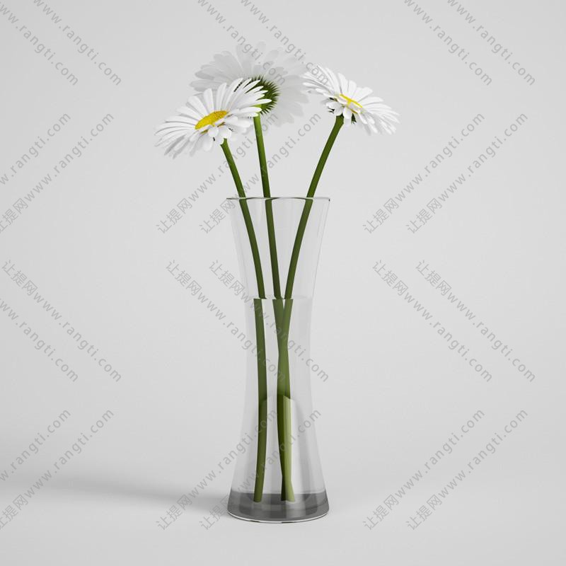 白色菊花、带水玻璃花瓶花卉