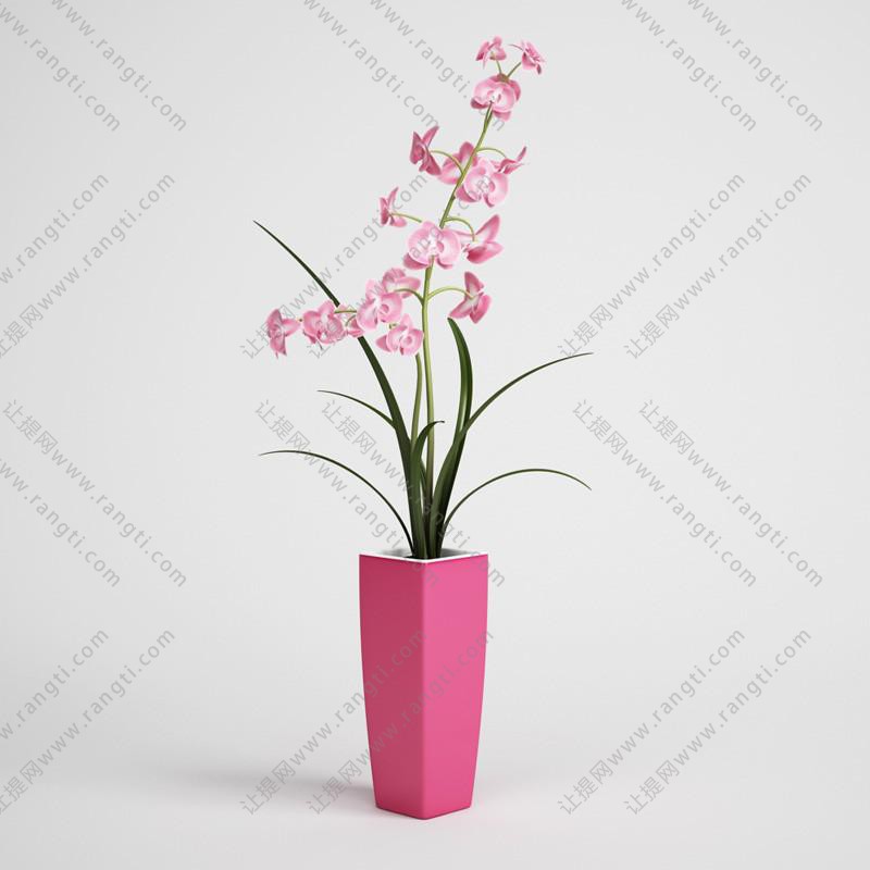 粉红蝴蝶兰、花瓶花卉