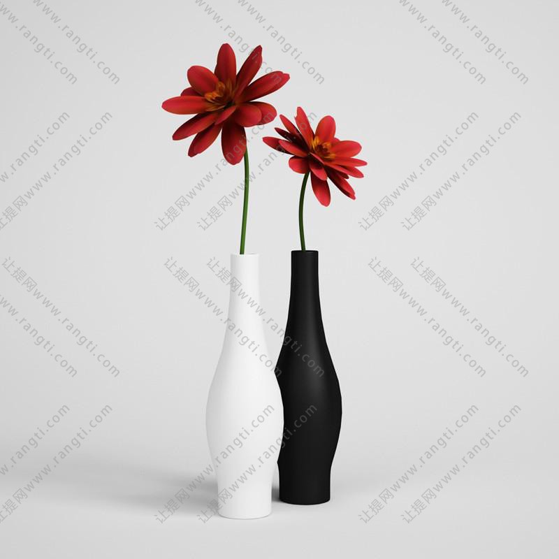 红色花卉、黑白花瓶