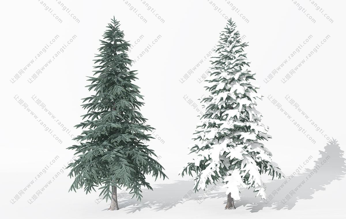 覆盖大雪的松树
