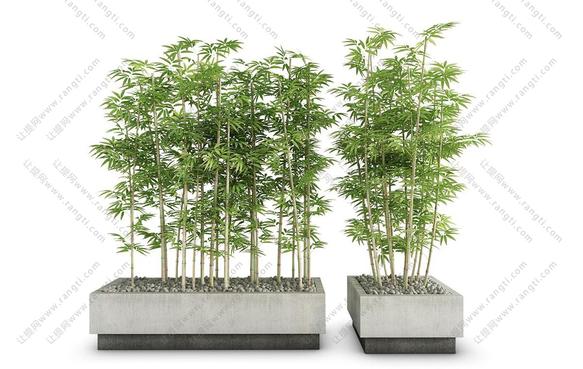 石材花池 唐竹盆栽植物下载 模型id 让提网