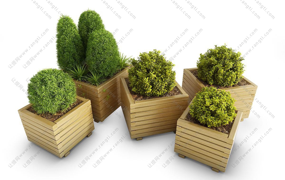 木质花箱、地肤植物