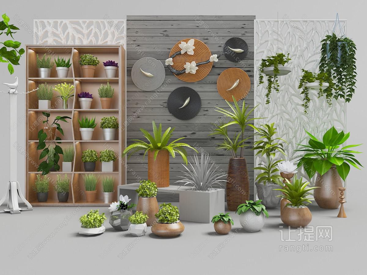 阳台、露台植物背景墙和盆栽植物