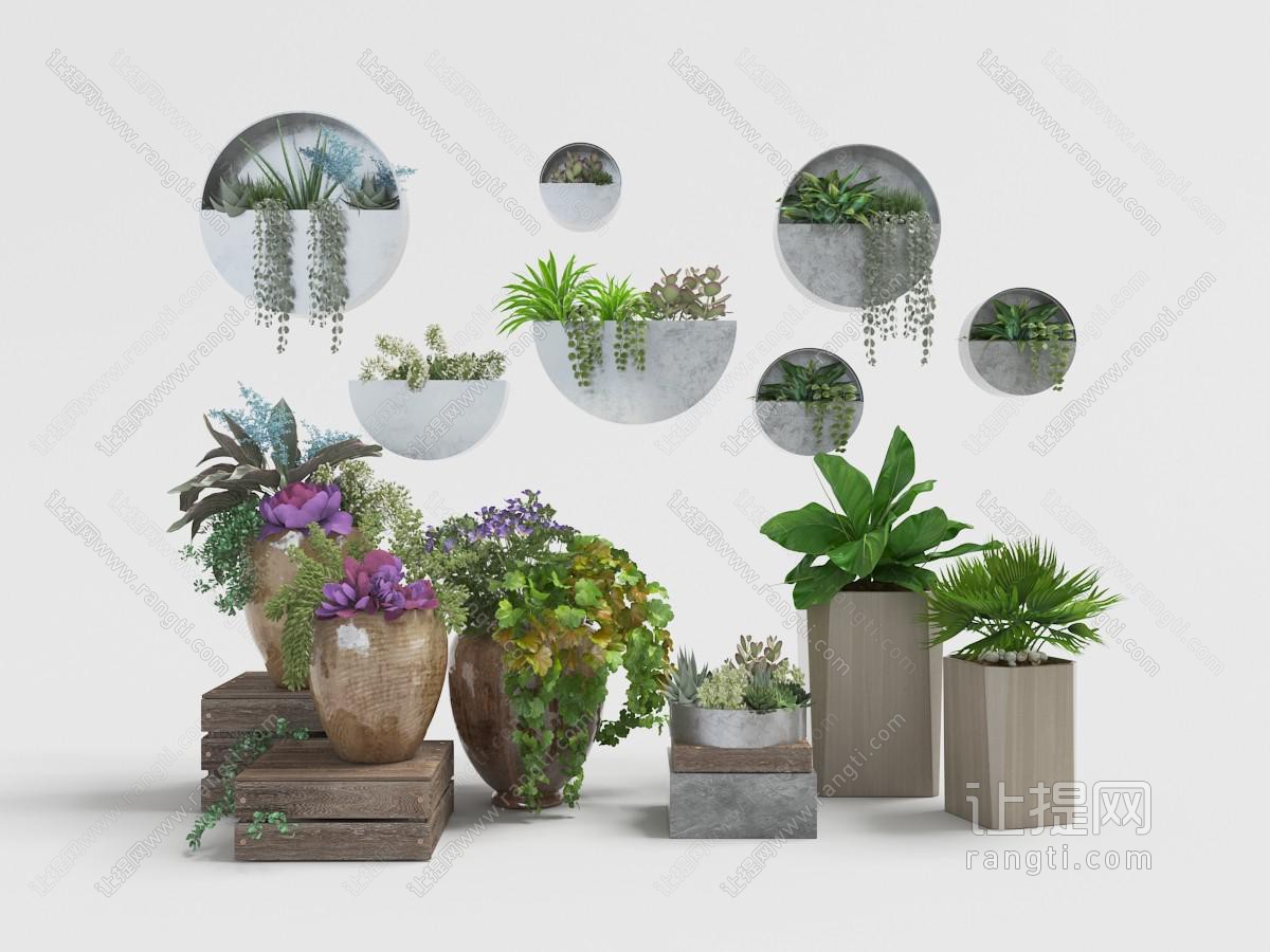 墙面花盆植物和陶瓷、水泥花盆的盆栽植物