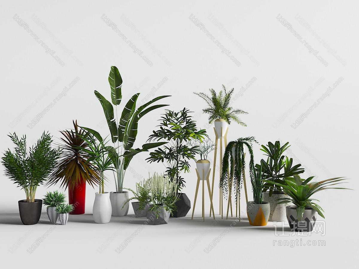 陶瓷花盆里不同种类的绿色盆栽植物