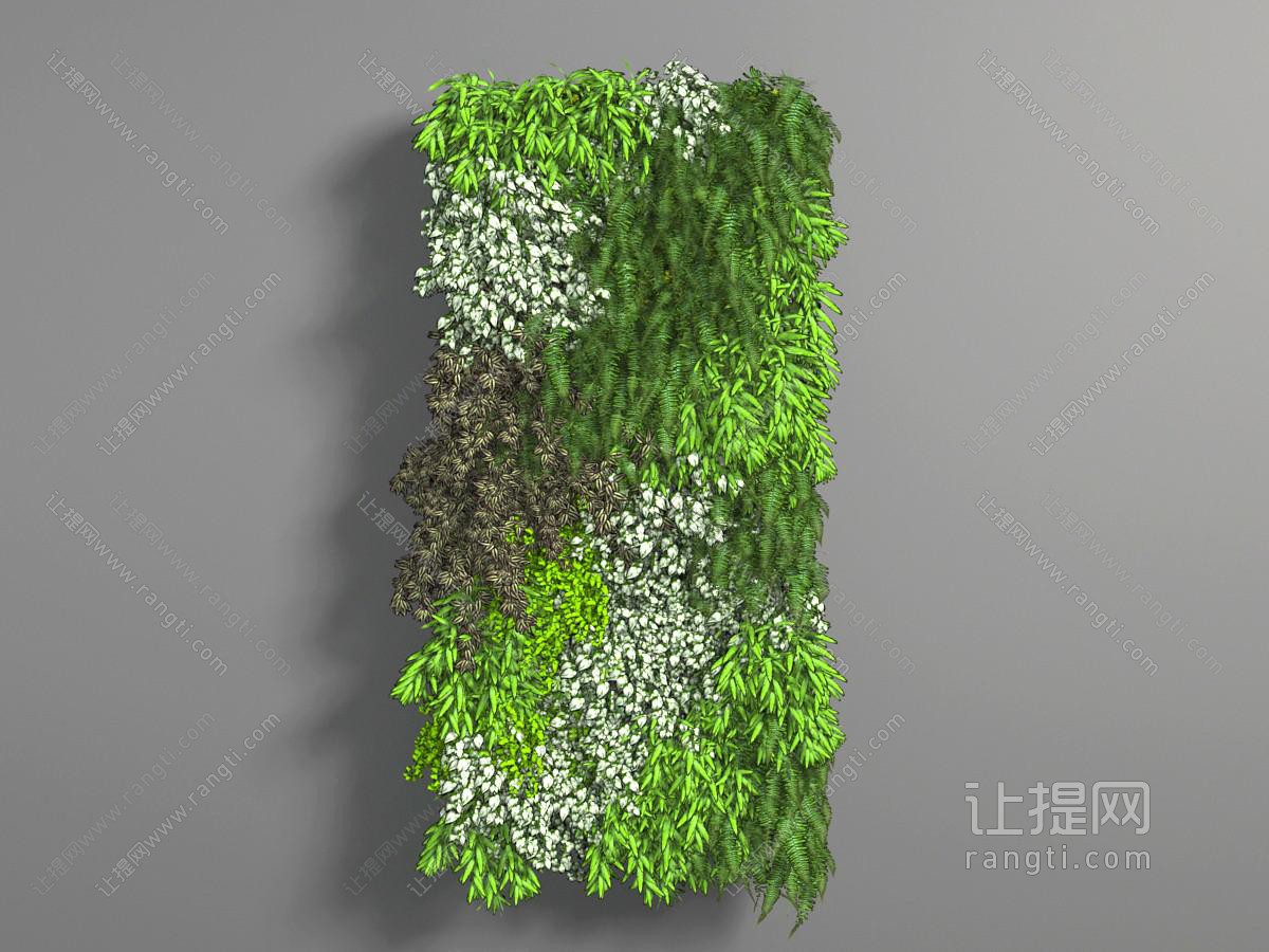 现代无边框的植物墙挂画