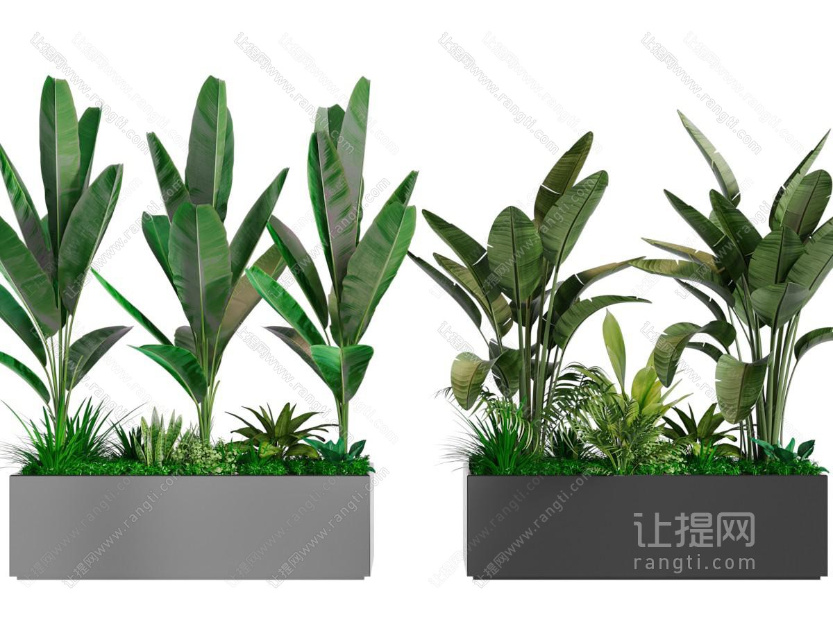 现代长方形花盆盆栽植物