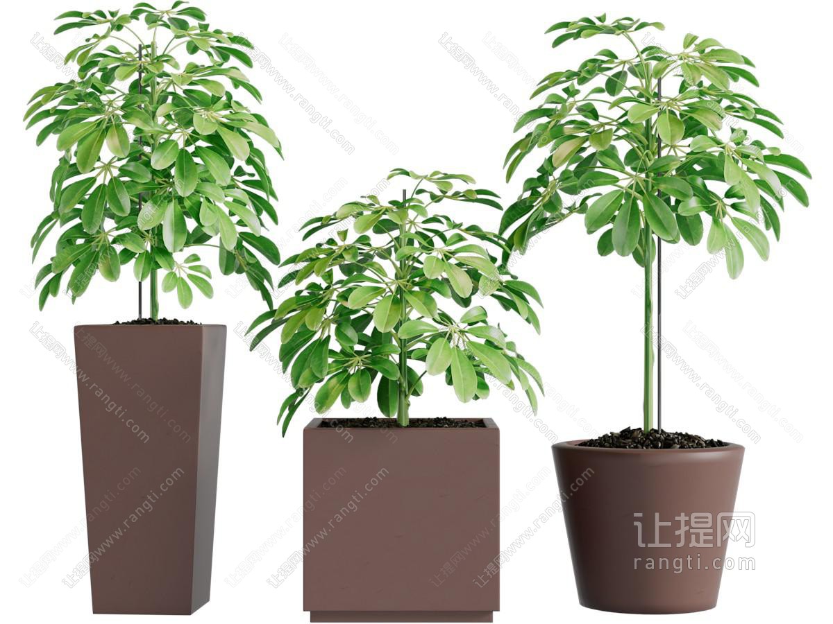 现代陶艺方形花盆植物盆栽