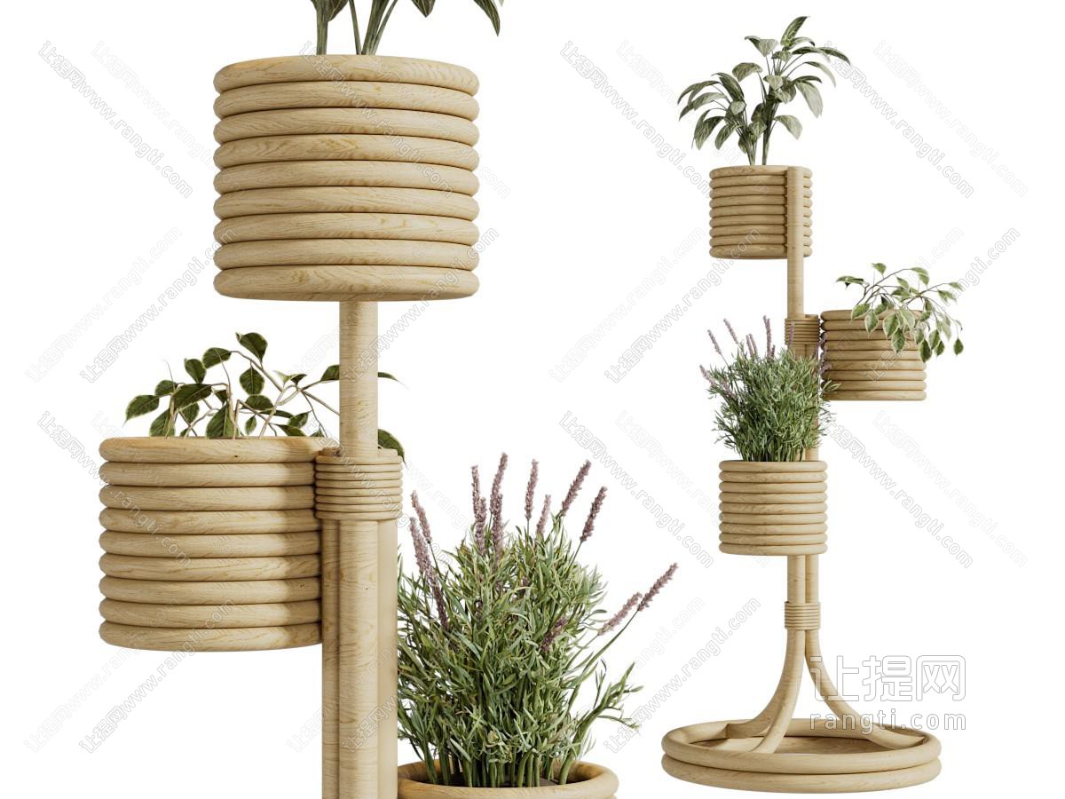 现代实木花架、植物盆栽