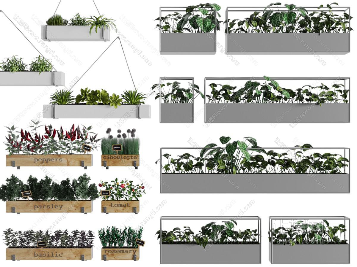 现代长方形悬挂花盆盆栽植物